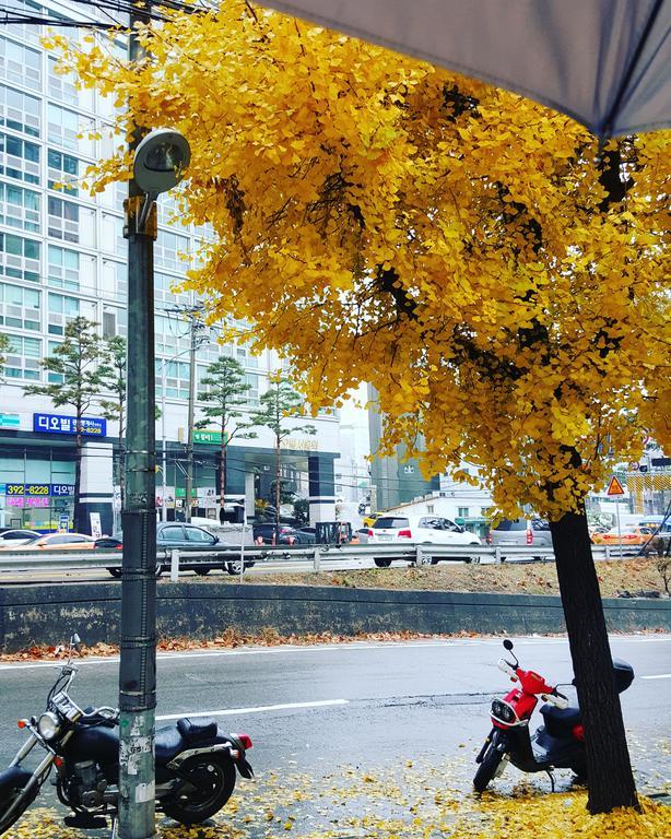 Feliz Guesthouse, Seoul Station Luaran gambar